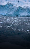 Antarctica LI Antarctica_051.jpg