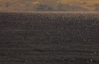 Antarctica LXII Antarctica_062.jpg