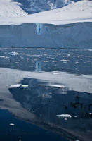 Antarctica LXX Antarctica_070.jpg