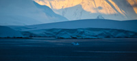 Antarctica XC Antarctica_090.jpg