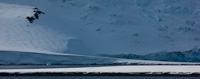 Antarctica CXXIV Antarctica_124.jpg