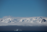 Antarctica CXLIX Antarctica_149.jpg