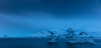 Antarctica CCLXIV Antarctica_264.jpg