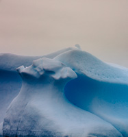 Antarctica CCLXVIII Antarctica_268.jpg